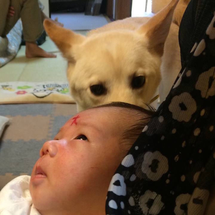 8bc52fb3 ab64 4573 972e 82dda4864499