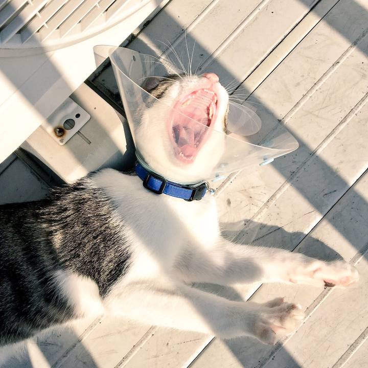 8bc5765d f2b0 463d b0fe 65e57464046b