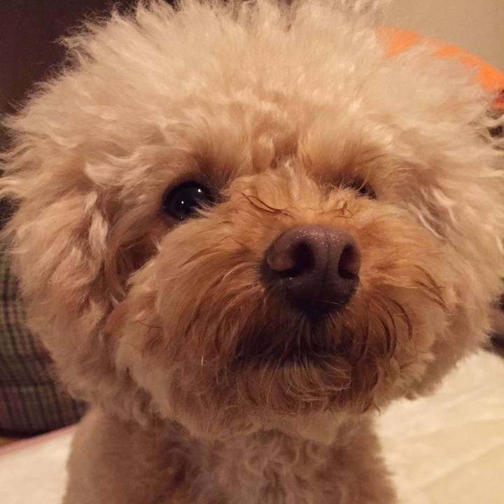 8bc6ca6a 720d 4f50 ac62 e5cd090056f7