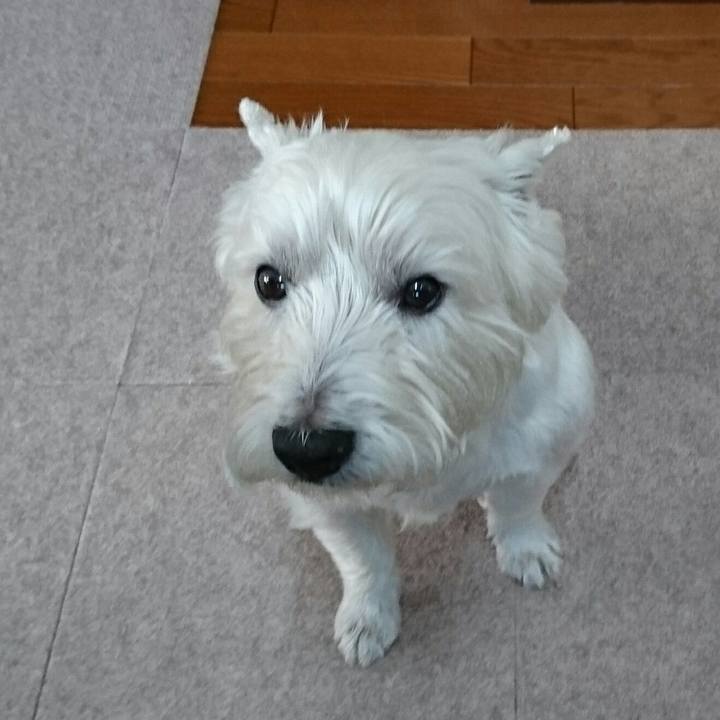 8bc7333b eadc 4468 a1d5 dbd1d25ea298