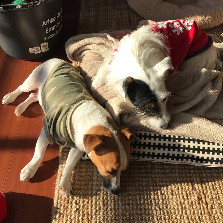 8bc892dc 1e8a 46f6 a4ec 124c1b9e93bb