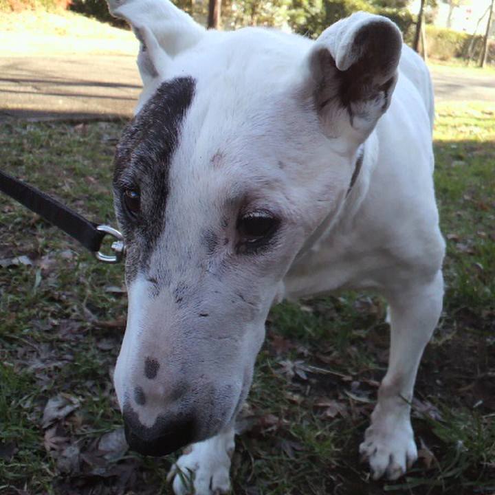 8bc911bf 058b 4c13 89ea 1a119ba6447d