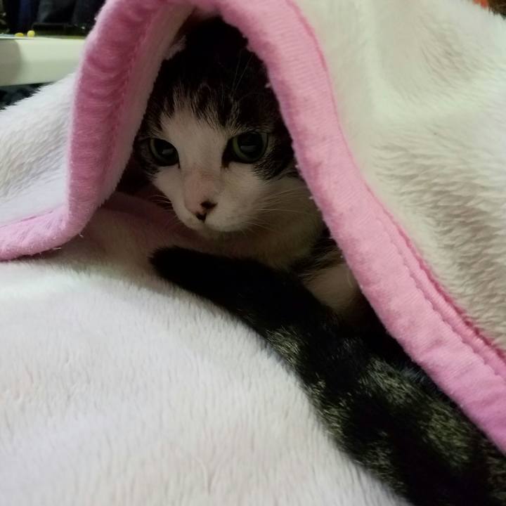 8bc922fa 3eff 41c3 a564 8626a08d5566