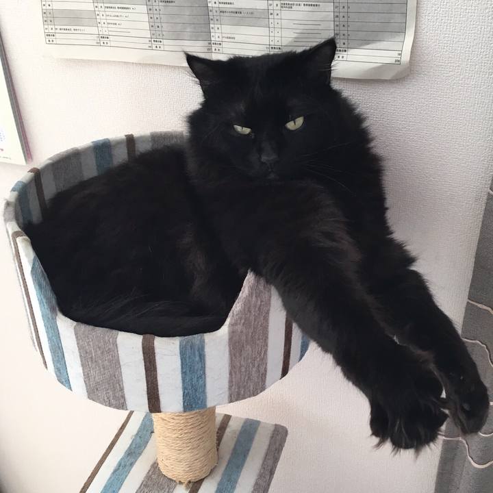 8bc9e3f5 408d 4974 9b51 d566b510e914