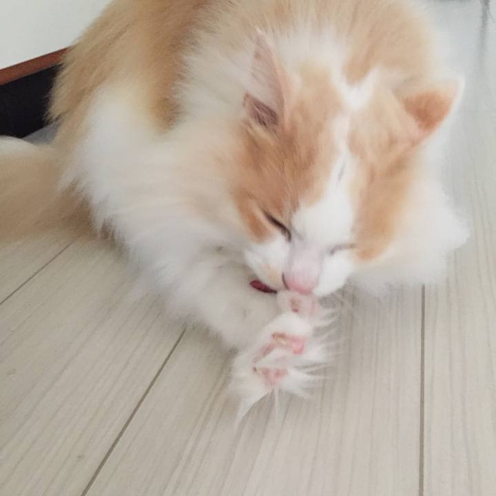 8bca0baf 6f50 4ee1 bc64 979d049215c5