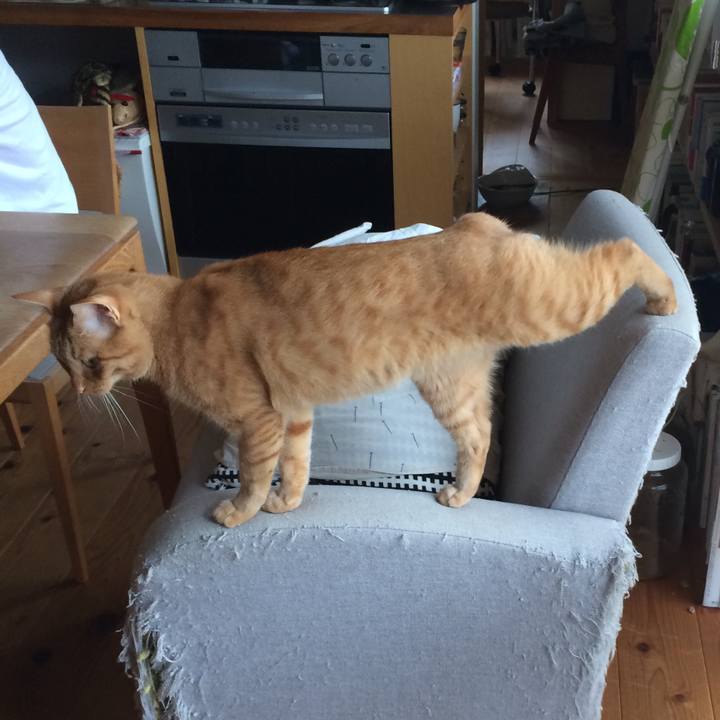 8bca3345 7653 4f0f a650 99600723209d