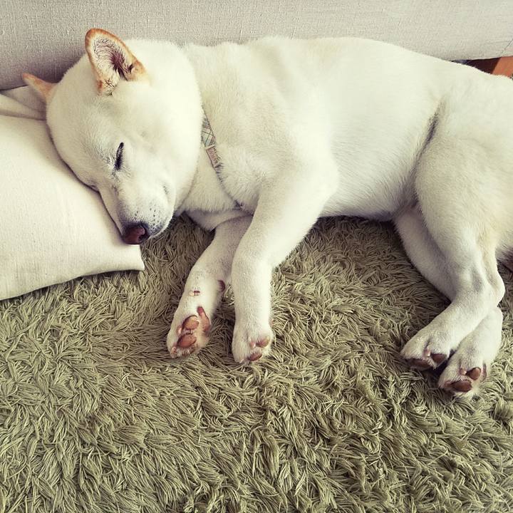 8bcb00c7 31b0 4bf4 84d9 13394cd3436c