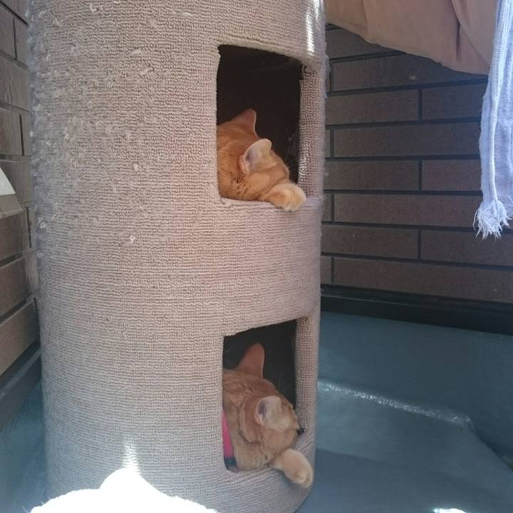 8bcb4a7c c898 49a1 a655 5043eac9c704