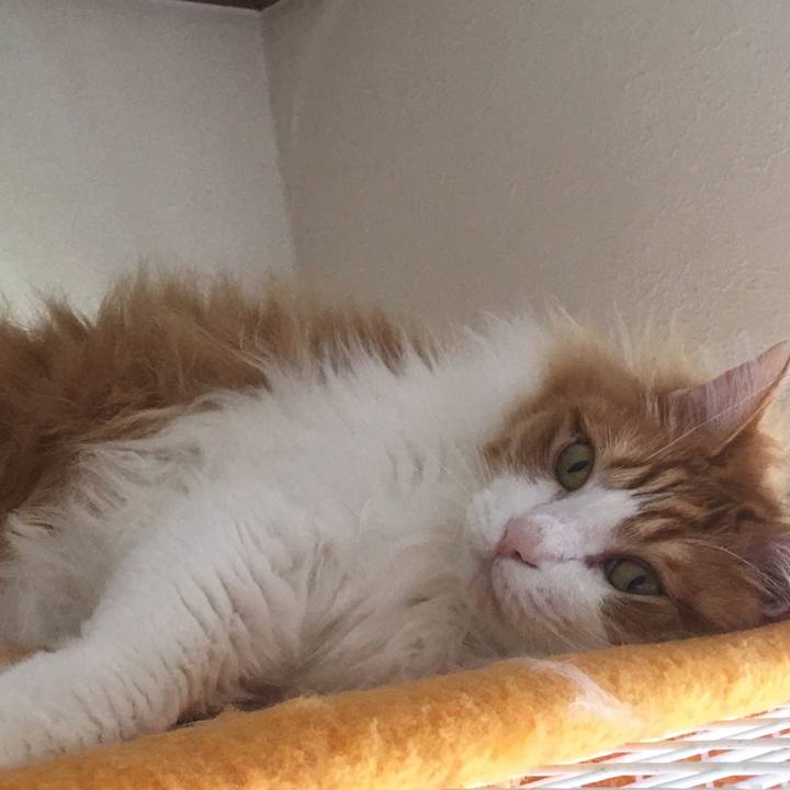 8bcbf39f bdd4 41ab b676 868e8f64ef18