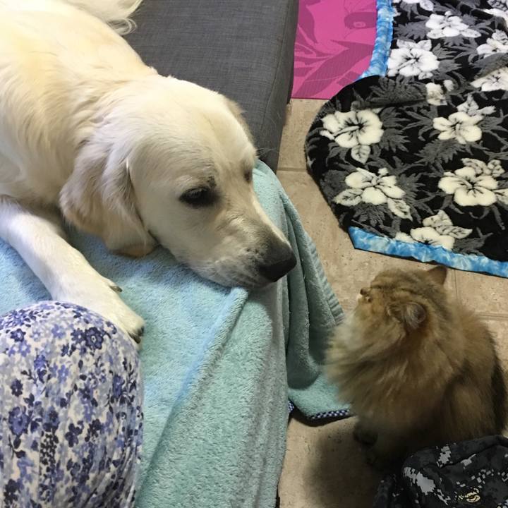 8bcc7bc4 a1eb 4d0e 932a 57e8d2eda9e1