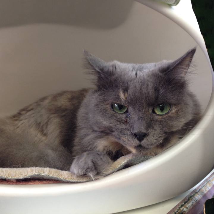 8bcccc69 1b1a 45be 81d3 6b0dfcc5aefe