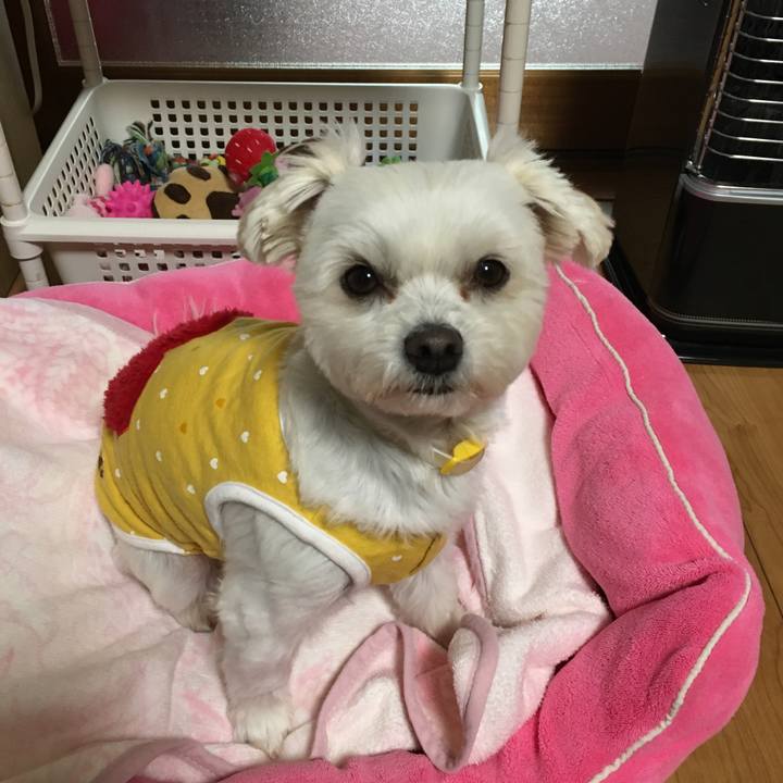 8bcd34c9 4635 4eb2 8942 e9aee23c07ff