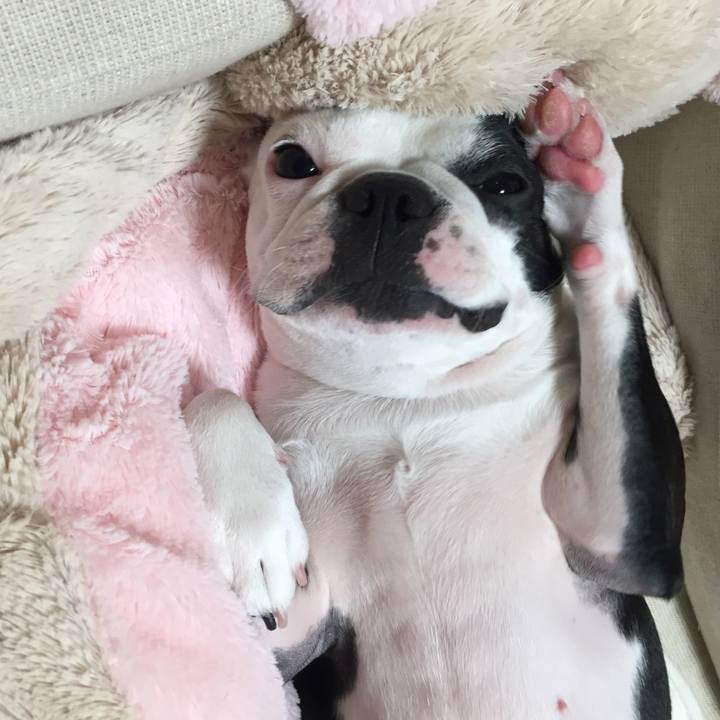 8bcdbea7 0495 438d bb3b 1bcacebb2908