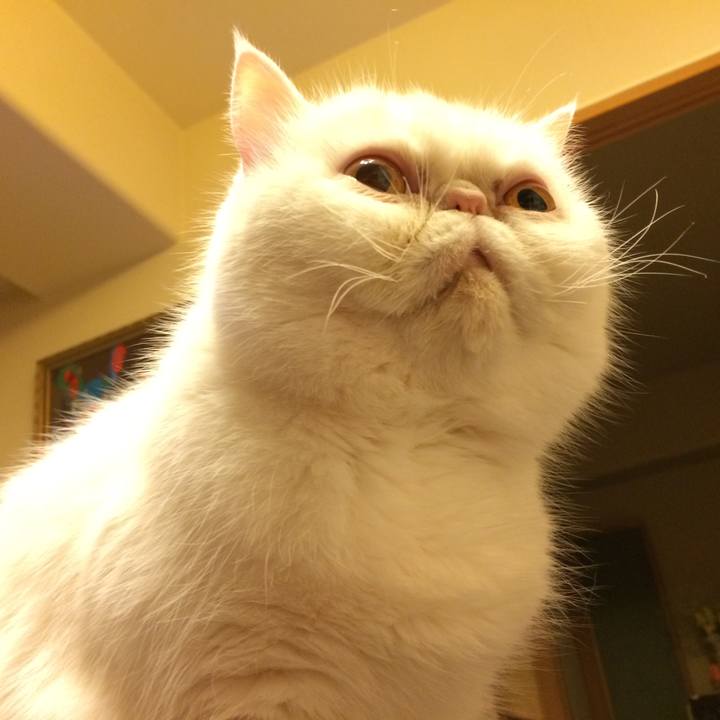 8bce2eaa 9c29 4899 b0f9 93a5e302e8b8