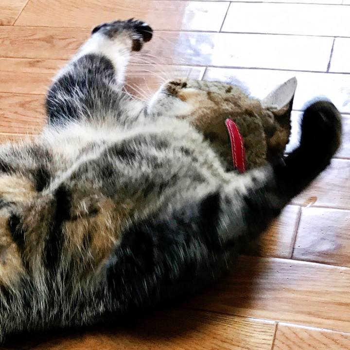 8bce34aa 1612 498c a7f7 60af94b7325e