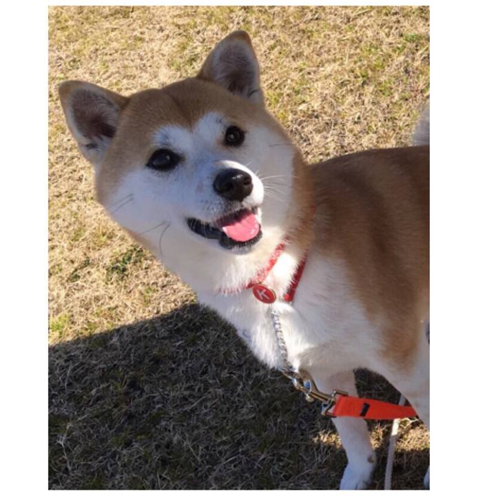 8bcf47c9 d2e3 4676 977b 81d77cabb260