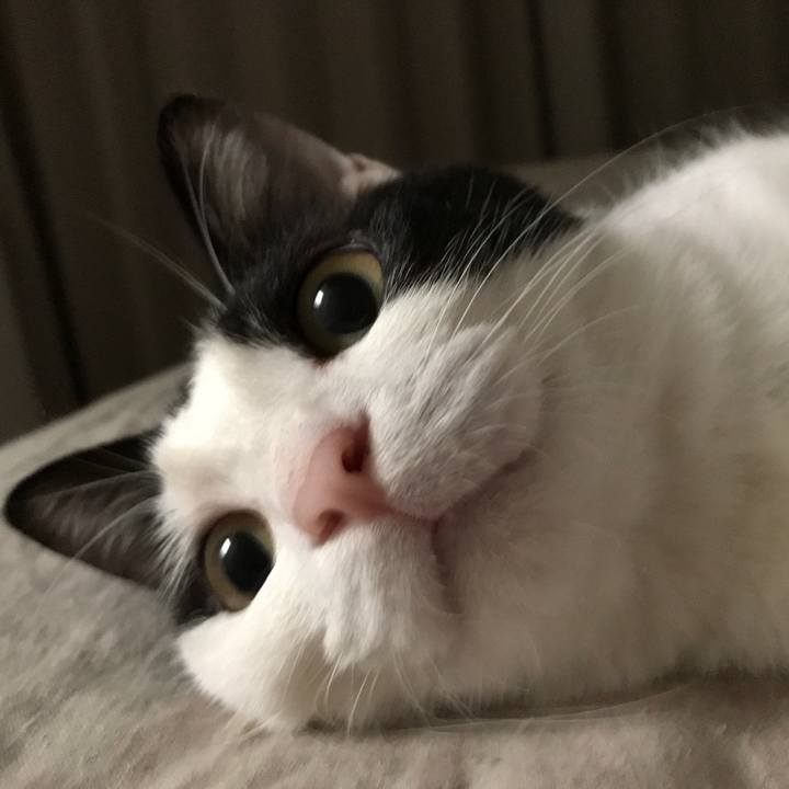 8bcf8662 4e05 425a a324 33fa5a38fd94