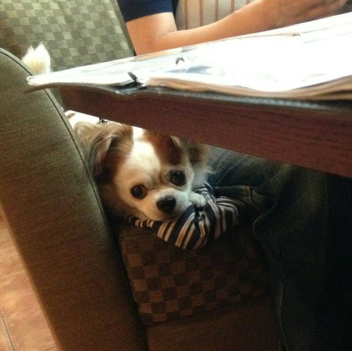 8bcfafde 31a6 4f9a 9dcf 92dd9899ed19