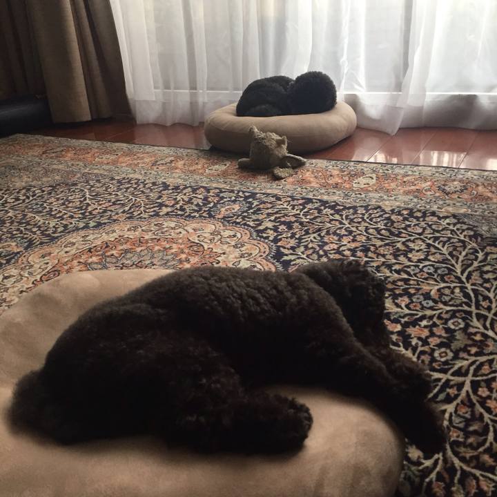 8bd0145d e73c 4f1d b732 d4352a2f4cdb