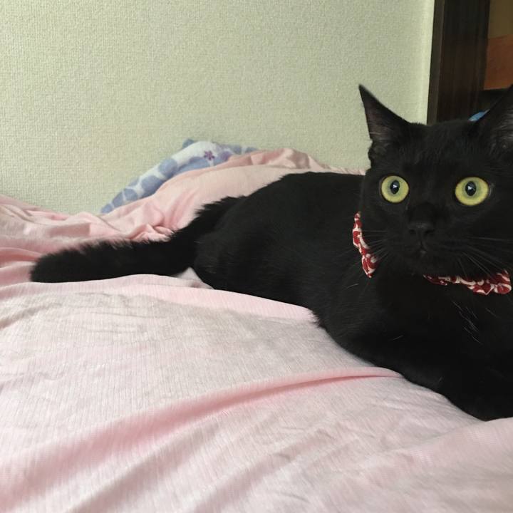 8bd0f783 6b6e 4bba b5c3 901a55d4553f