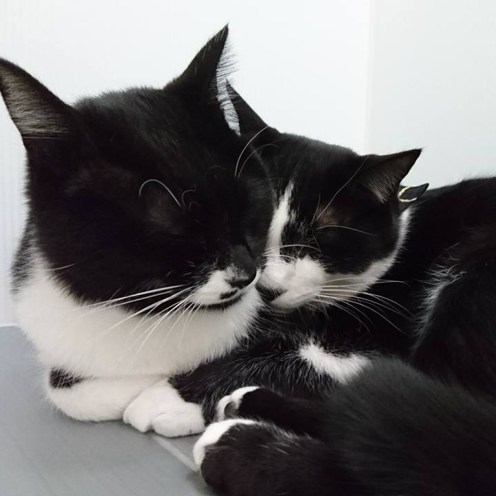 8bd23a0c 302f 4436 93e0 87a44c67b234