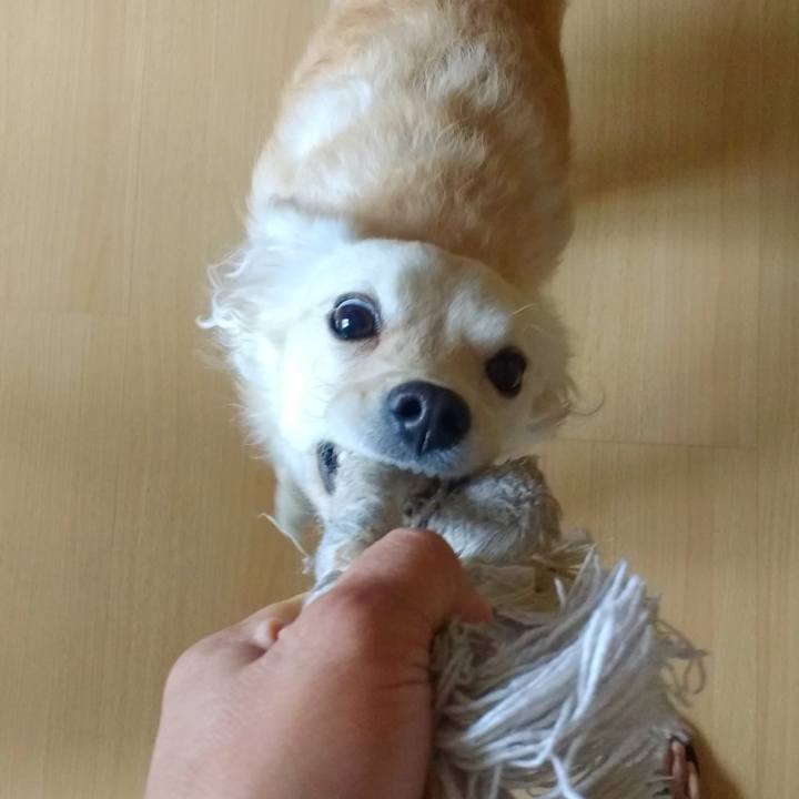 8bd2ac62 06a8 4537 a278 191c9aceb580