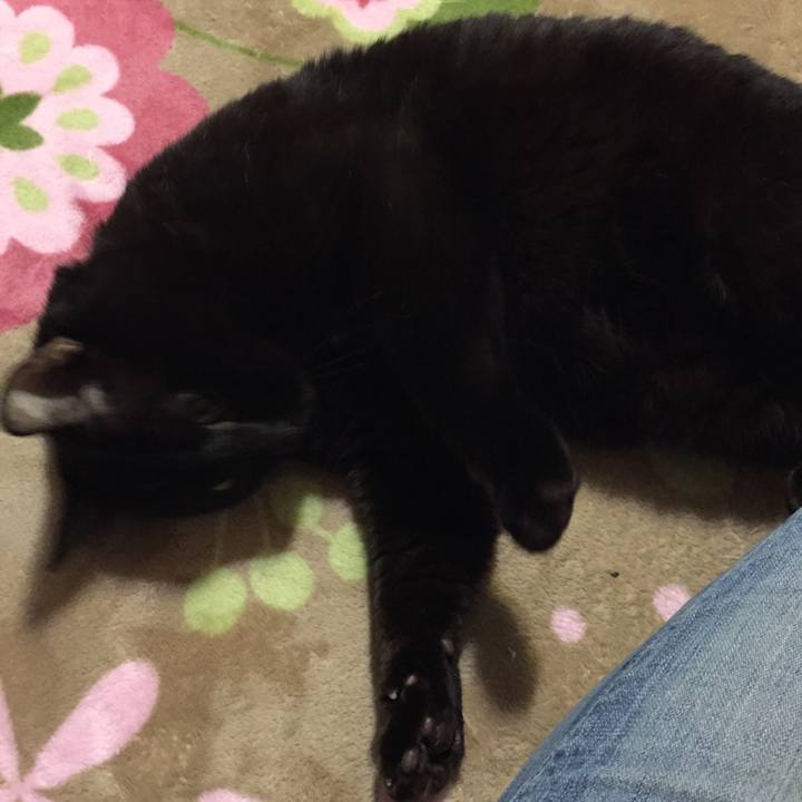 8bd38943 d3a1 47aa 8eee dea55bdda2f8