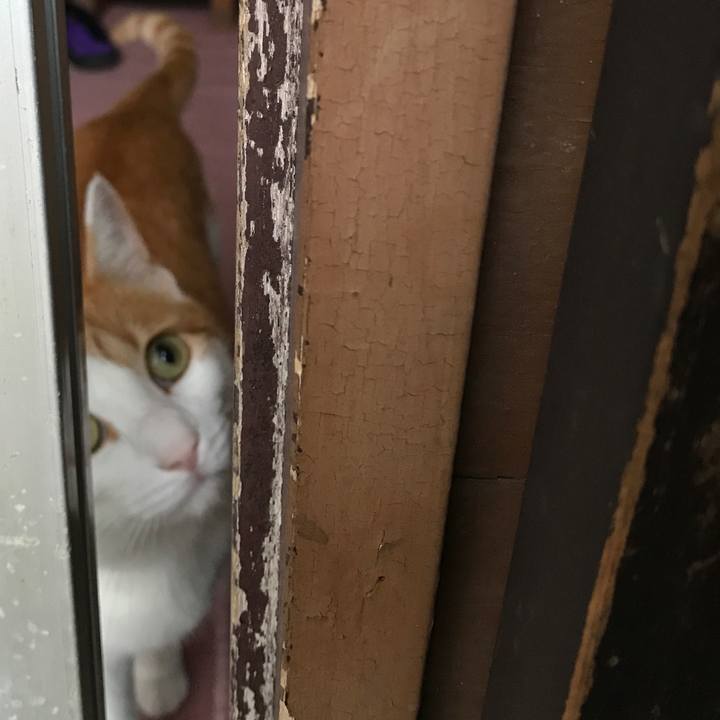 8bd39b1f 7241 4002 bb49 a1513682d6a0