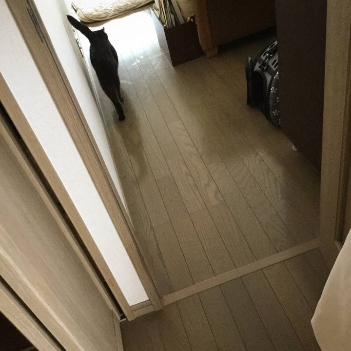 8bd56323 6d9f 40b6 9140 38f9f0849cf9