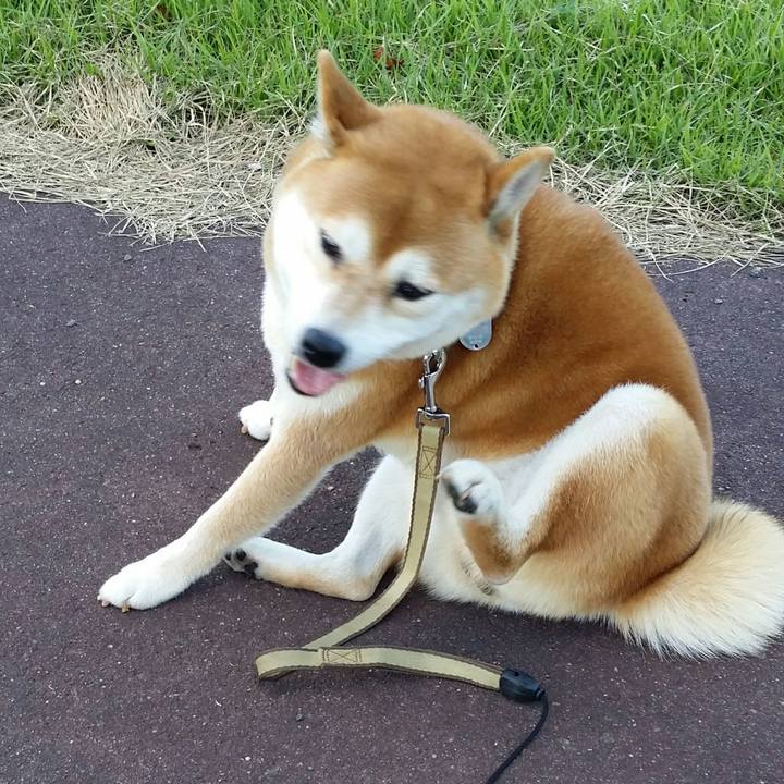 8bd58f53 fbfe 4731 8d90 867b20273e21