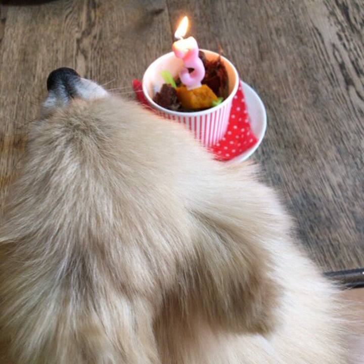 8bd665dd f21c 4d0b 9c7f bfc45aee6002