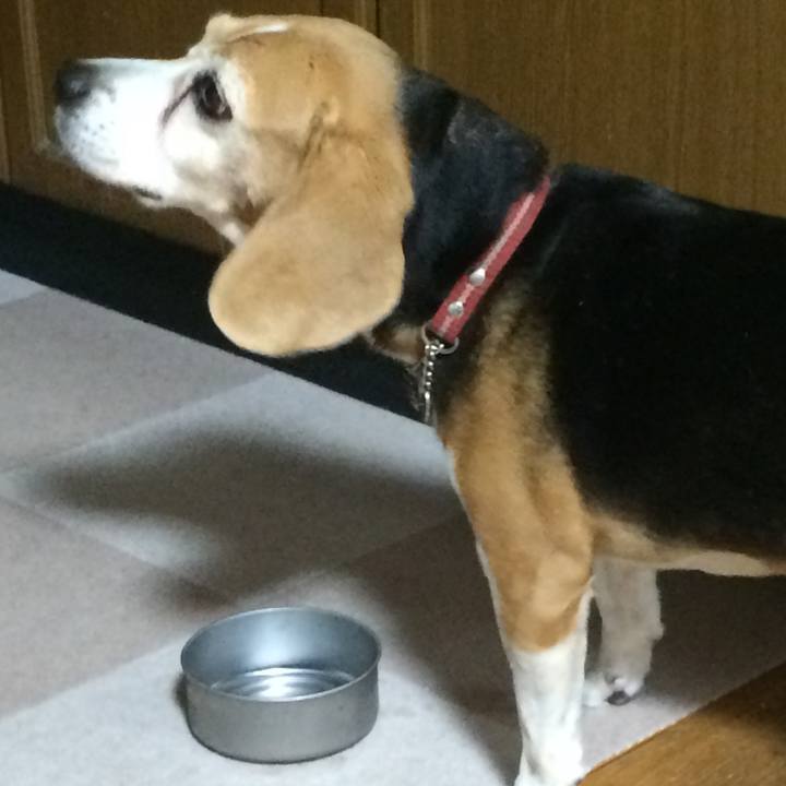 8bd66a3f d023 40b6 bfea c1f45be5ba8b