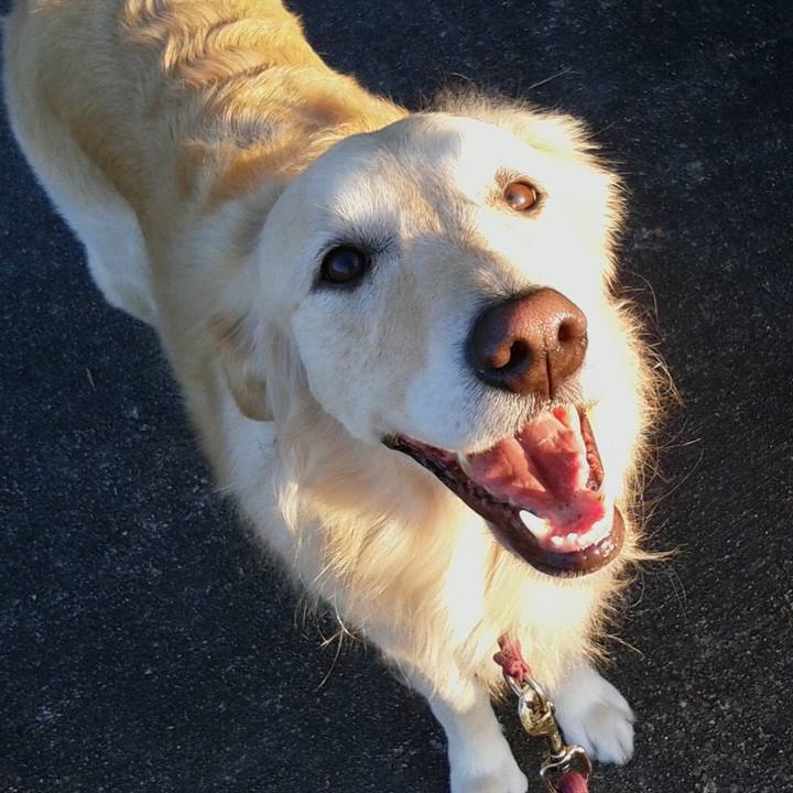 8bd6ed4a ad2f 43e9 b4d0 ea9f4954a71d