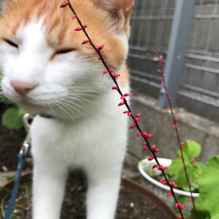 8bd702c1 bb52 413f 8a01 2ead3cd10efc