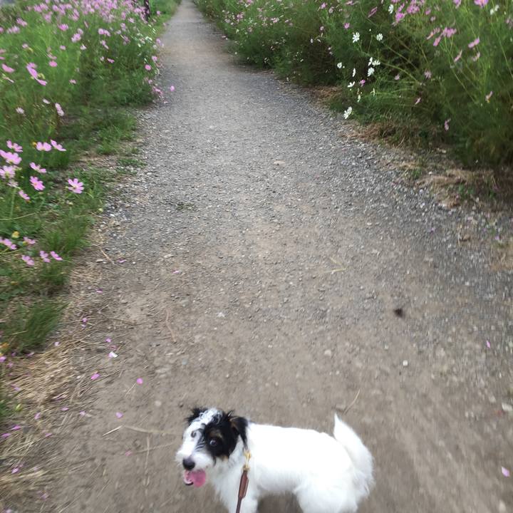 8bd70921 e5c1 4803 90bf 5cfd3fa6c4fa