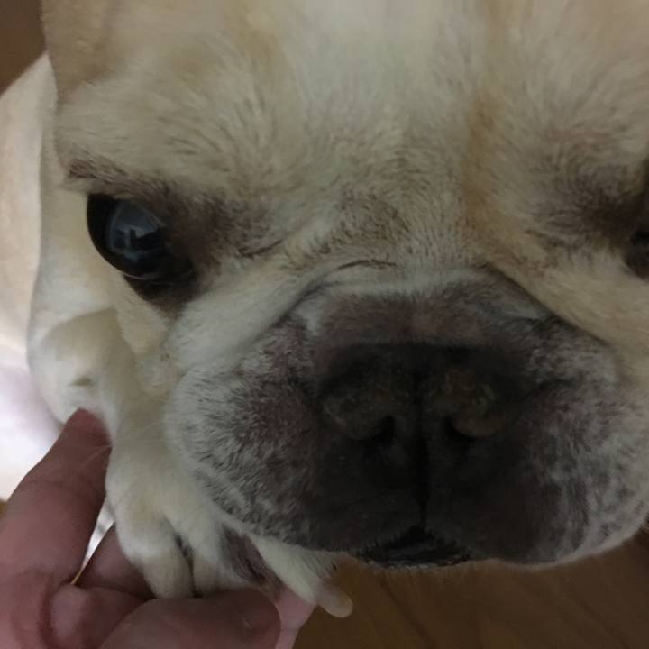 8bd75172 7914 4201 a916 fd6789380c70