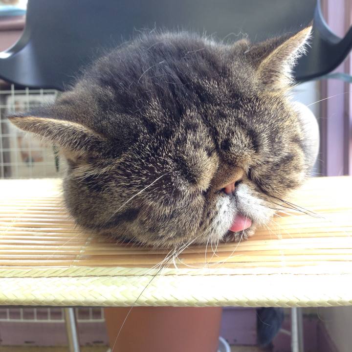 8bd8756b bc4b 4c7c b7e6 e6bca4b26cb7