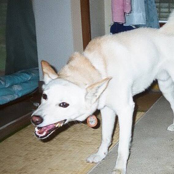 8bd886f1 3ec6 42b3 99f9 6d6279421f35