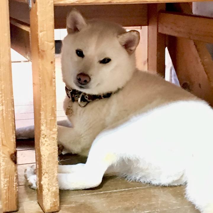 8bd8977e a15b 4ec4 979d 0f3bdf7eb3ce