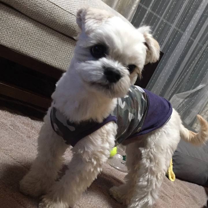 8bd89a4d e530 4e12 9ec7 f2b475663691