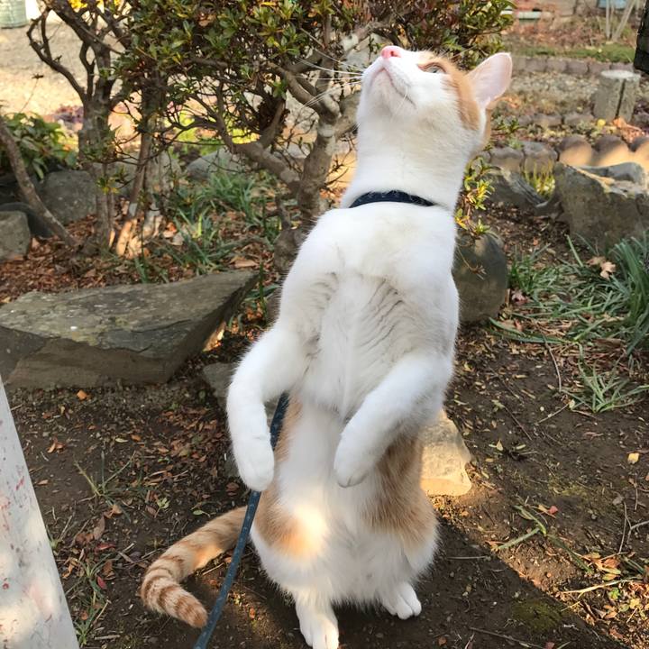 8bd8ce4b ba16 4ea2 955e 8008c989ac87