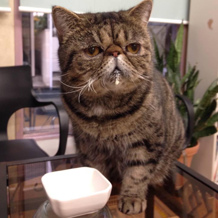 8bd91a2d f8f3 477f 89ff 5fd867adf1e3