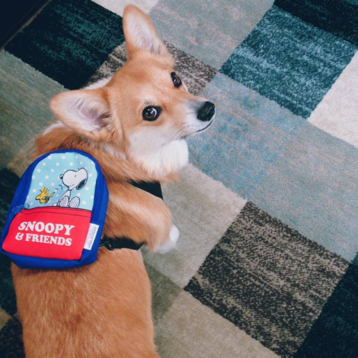 8bd96561 7f36 4ae8 9382 84c0a40fb13a