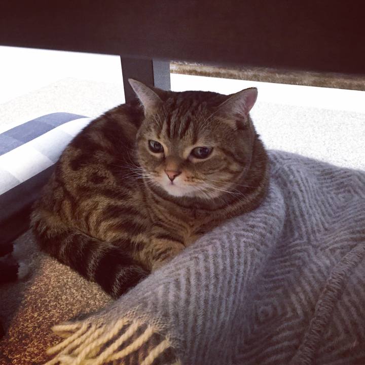 8bd996ac d1bd 4b99 bd1b 59e2a95c2805