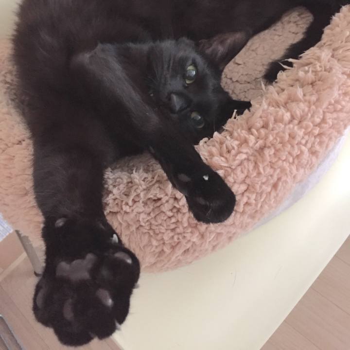 8bda7cb1 af26 4e3c 944e 616ee5be29cf