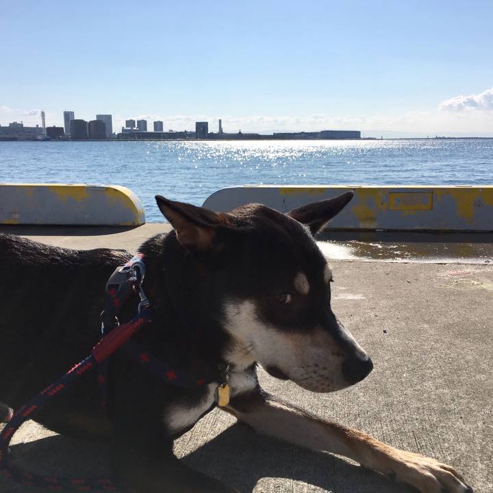 8bda9494 d161 43ca 8aaa 9d62b7551c09