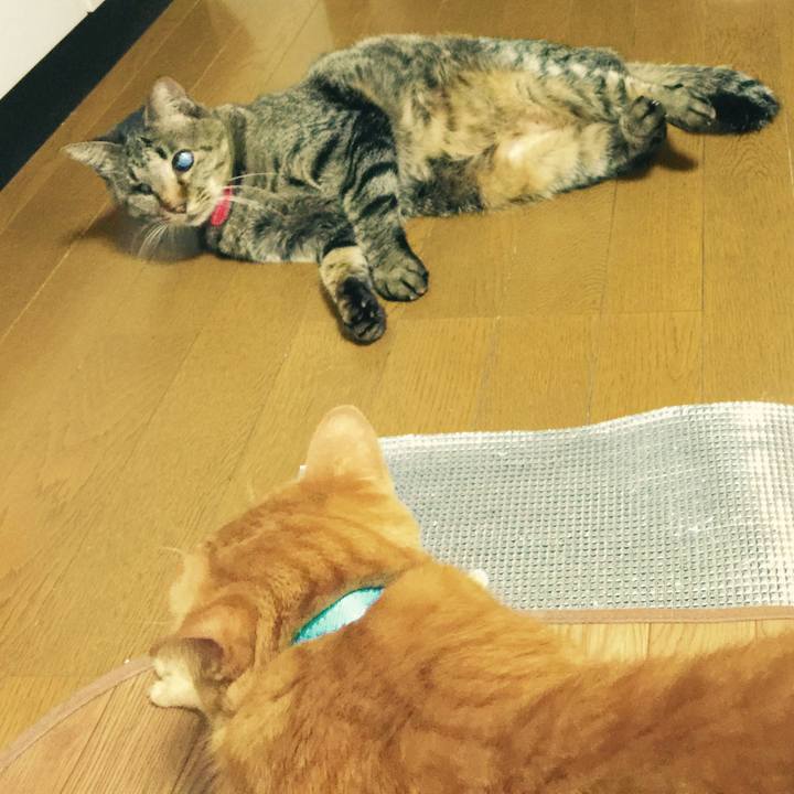 8bdb2cd8 ea54 4207 9025 fdd455e5a8c1