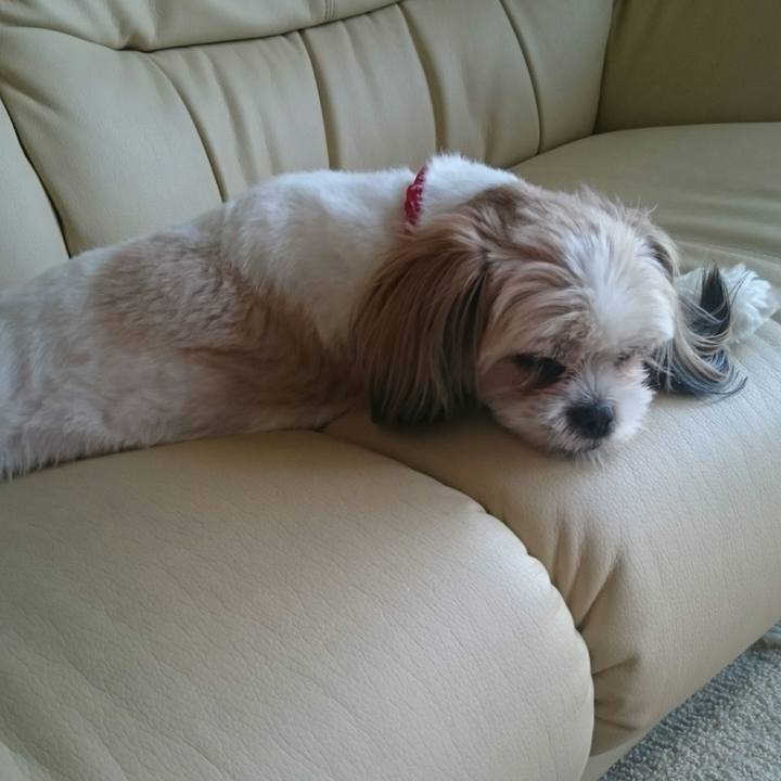 8bdb72c3 2eab 4dfe 908e a1387efc9ce9