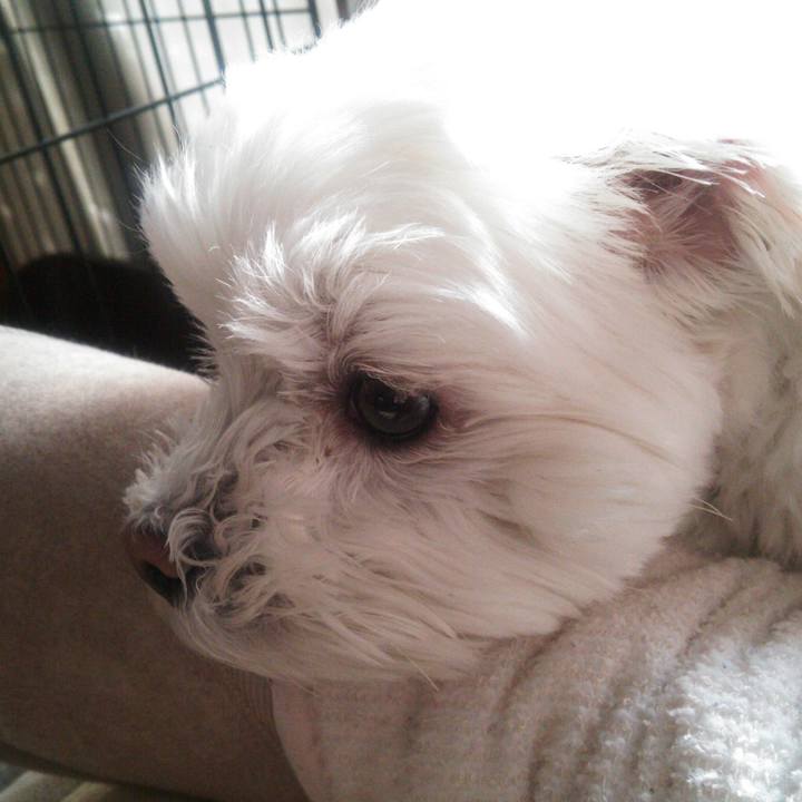 8bdb7c57 31b3 4938 aa25 1fb838ce8db0