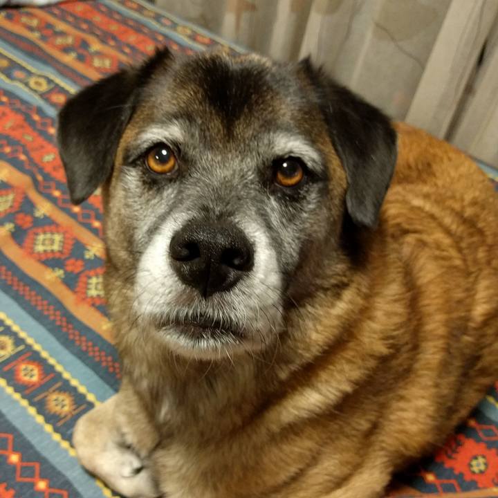 8bdc3895 c8c1 4815 9ba6 86d3e2cf74dd